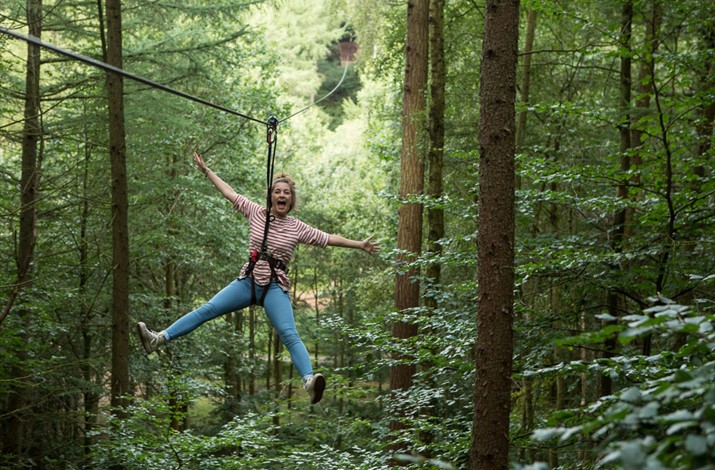 GoApe Tree Top Adventure