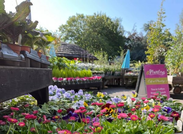 Plumleys Plant and Garden Centre